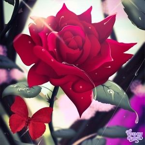 Meet your Posher, Lilan